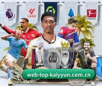 web-top-kaiyyun.com.cn APP
