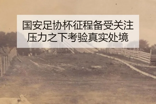 guo-an-zu-xie-bei-zheng-cheng-bei-shou-guan-zhu-ya-li-zhi-xia-kao-yan-zhen-shi-chu-jing-2-113.jpg