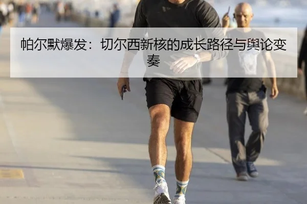 pa-er-mo-bao-fa-qie-er-xi-xin-he-de-cheng-zhang-lu-jing-yu-yu-lun-bian-zou-2-121.jpg